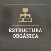 Estructura orgánica
